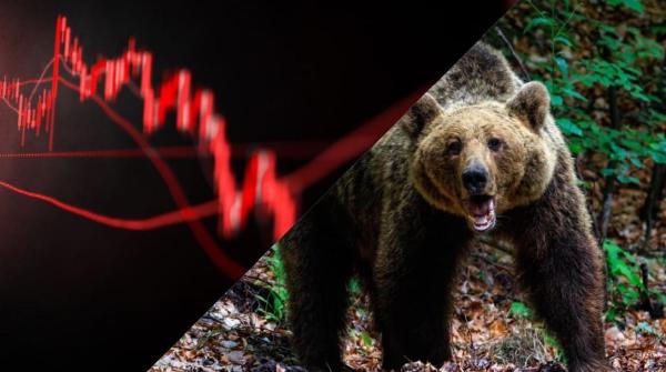 Is the Bear Really Loose for Bitcoin? Alarm Bells Ring, but There's Hope