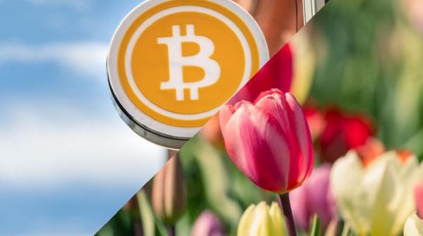 Top Analyst Compares Crypto to Dutch Tulip Mania: 'Bitcoin Is a Different Beast'