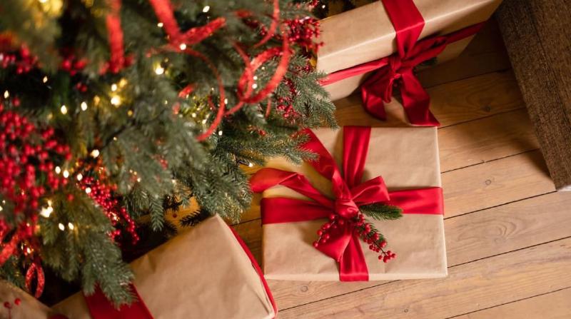 Photo: IrenMyltana (Shutterstock)