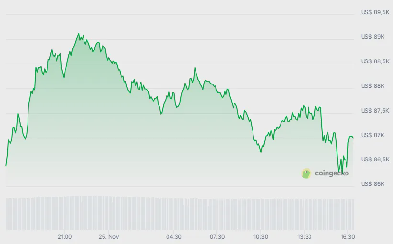 Bitcoin price (24h). Source: CoinGecko.
