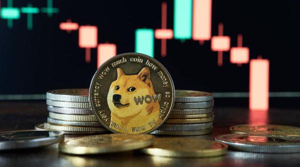 Painful Numbers for Dogecoin as Other Cryptos Break Records