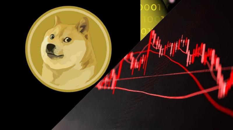 Dogecoin crash