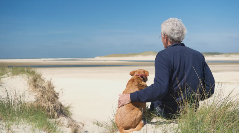 Man met hond op strand