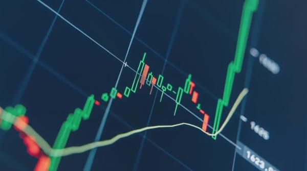 Privacy Coins Soar as Crypto Market Bleeds: Monero and Zcash Lead the Charge