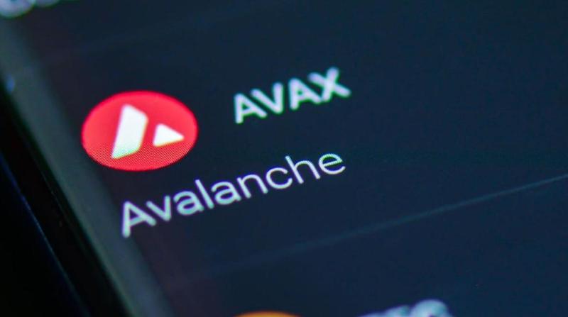 Avalanche (AVAX) price rises after publication of important news