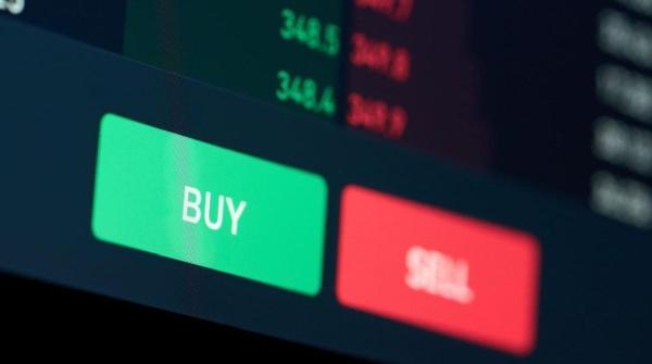 While Crypto Market Declines, Whales Accumulate These Unexpected Coins