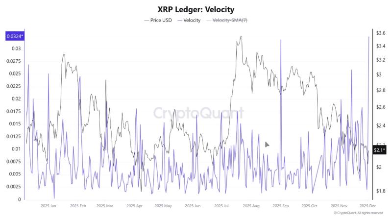 XRP/USD price chart with Velocity metric. Source: CryptoOnchain via CryptoQuant