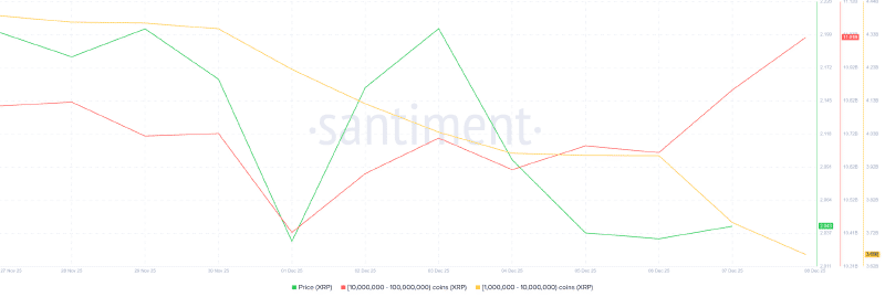 XRP whale holdings chart