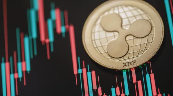 XRP Drops During Major Sell-Off, But Largest Players Are Buying